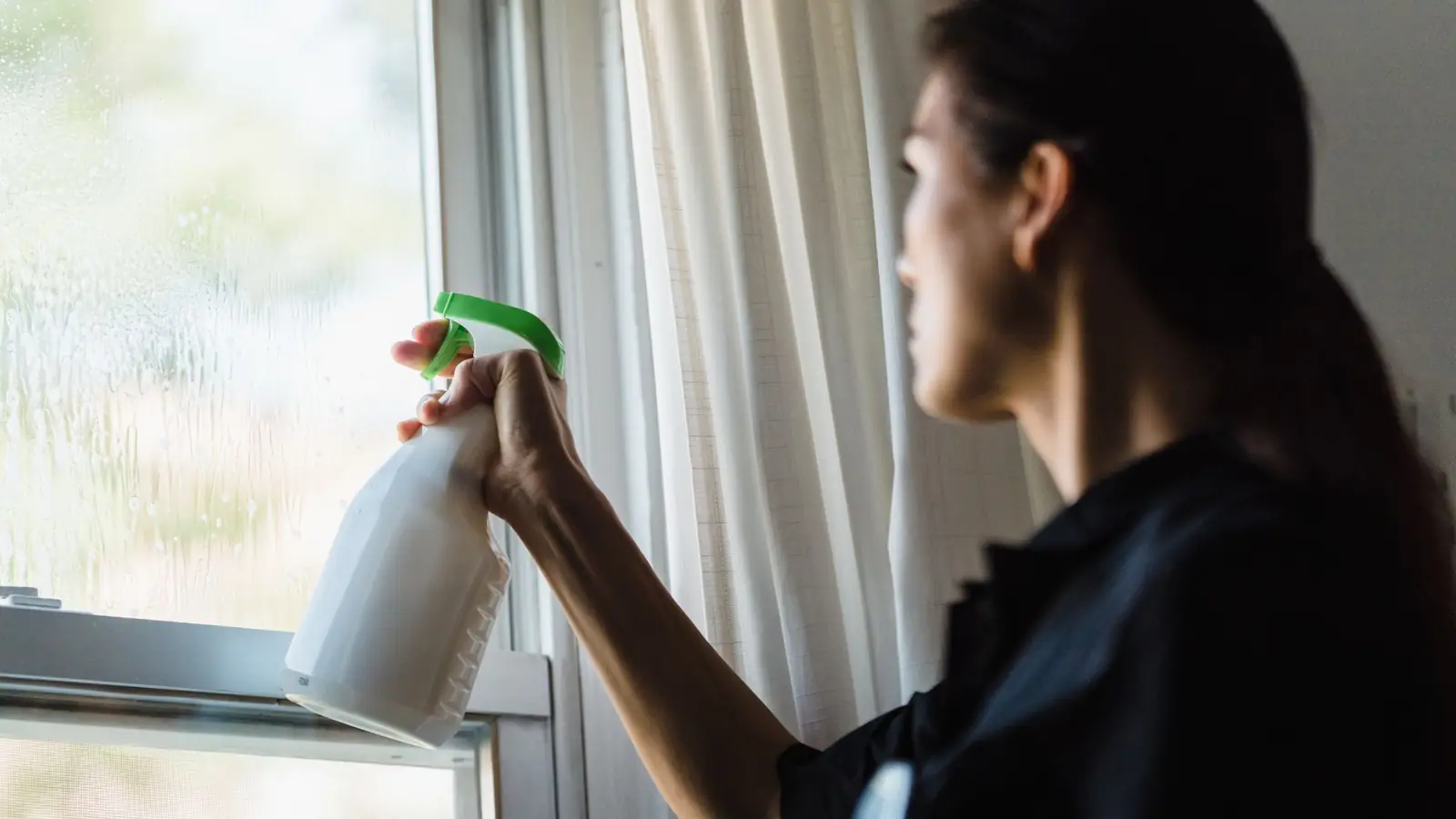 A woman spraying a window with glass cleaner, backlit against muted green foliage outside